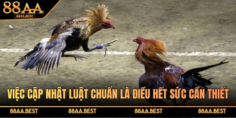 Việc cập nhật luật chuẩn, mới nhất là điều hết sức cần thiết